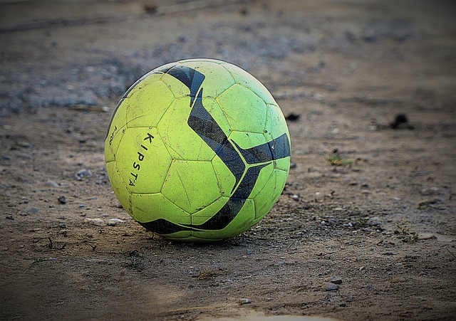 通过引进埃 通过引进埃