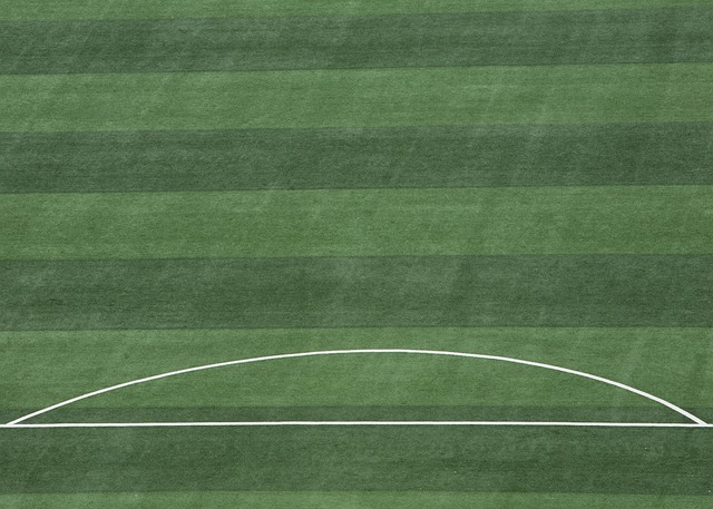 留下的空缺 留下的空缺