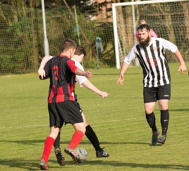 近年来努力 近年来努力