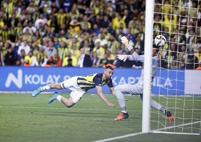 都充分体现 都充分体现