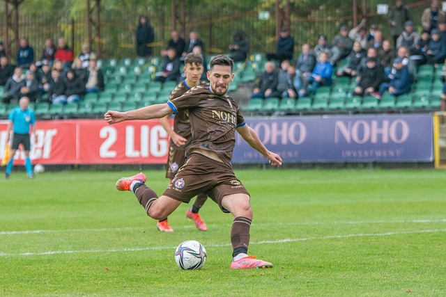 沙特致力於 沙特致力於