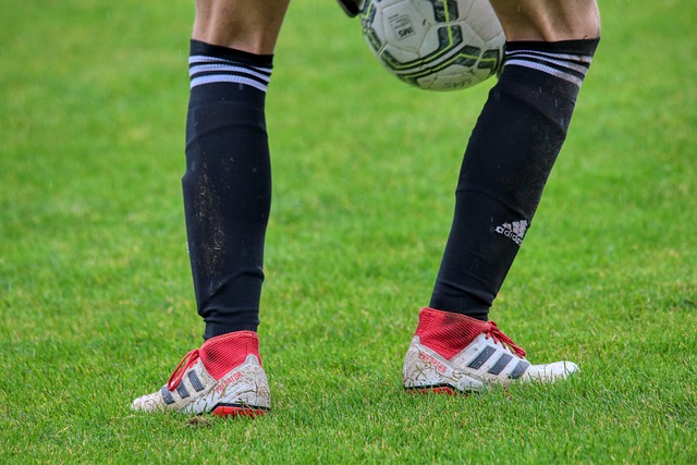 嗅觉和团队 嗅觉和团队